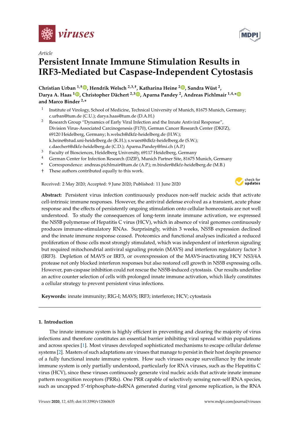 Persistent Innate Immune Stimulation Results in IRF3-Mediated but Caspase-Independent Cytostasis