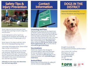 DOGS in the DISTRICT Contact Information Safety Tips & Injury Prevention