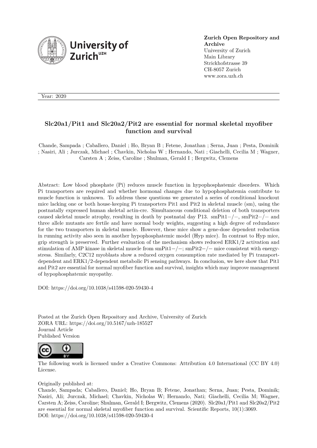 Slc20a1/Pit1 and Slc20a2/Pit2 Are Essential for Normal Skeletal Myofiber Function and Survival