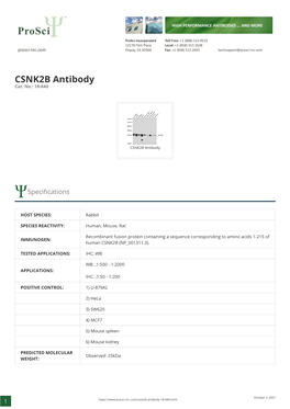 CSNK2B Antibody Cat