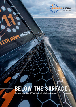 BELOW the SURFACE Exploring the 2020 Sustainability Report