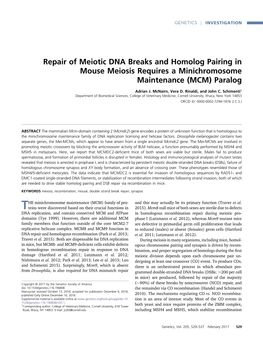 Repair of Meiotic DNA Breaks and Homolog Pairing in Mouse Meiosis Requires a Minichromosome Maintenance (MCM) Paralog