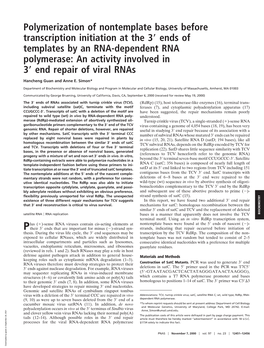 Polymerization of Nontemplate Bases Before Transcription Initiation at The