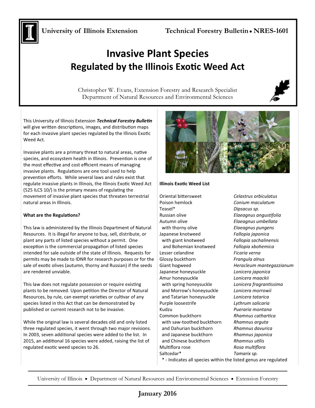 Invasive Plant Species Regulated by the Illinois Exotic Weed Act