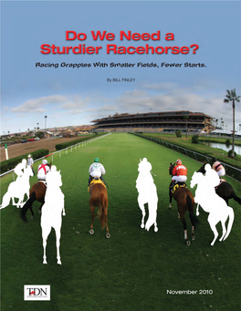 TDN Magazine--Do We Need a Sturdier Racehorse?