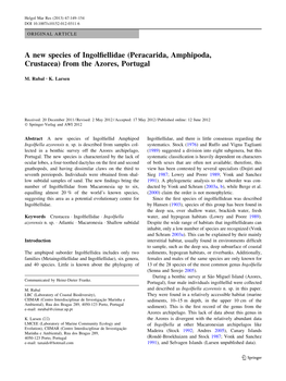 (Peracarida, Amphipoda, Crustacea) from the Azores, Portugal