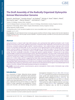 The Draft Assembly of the Radically Organized Stylonychia Lemnae Macronuclear Genome