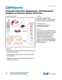Integrated Genomic, Epigenomic, and Expression Analyses of Ovarian Cancer Cell Lines