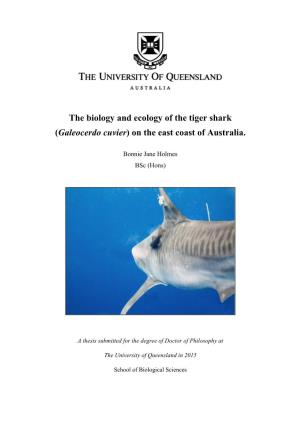 Tiger Shark (Galeocerdo Cuvier) on the East Coast of Australia