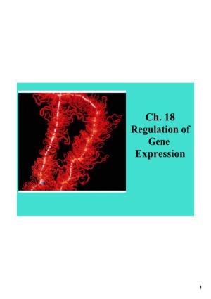 Ch. 18 Regulation of Gene Expression