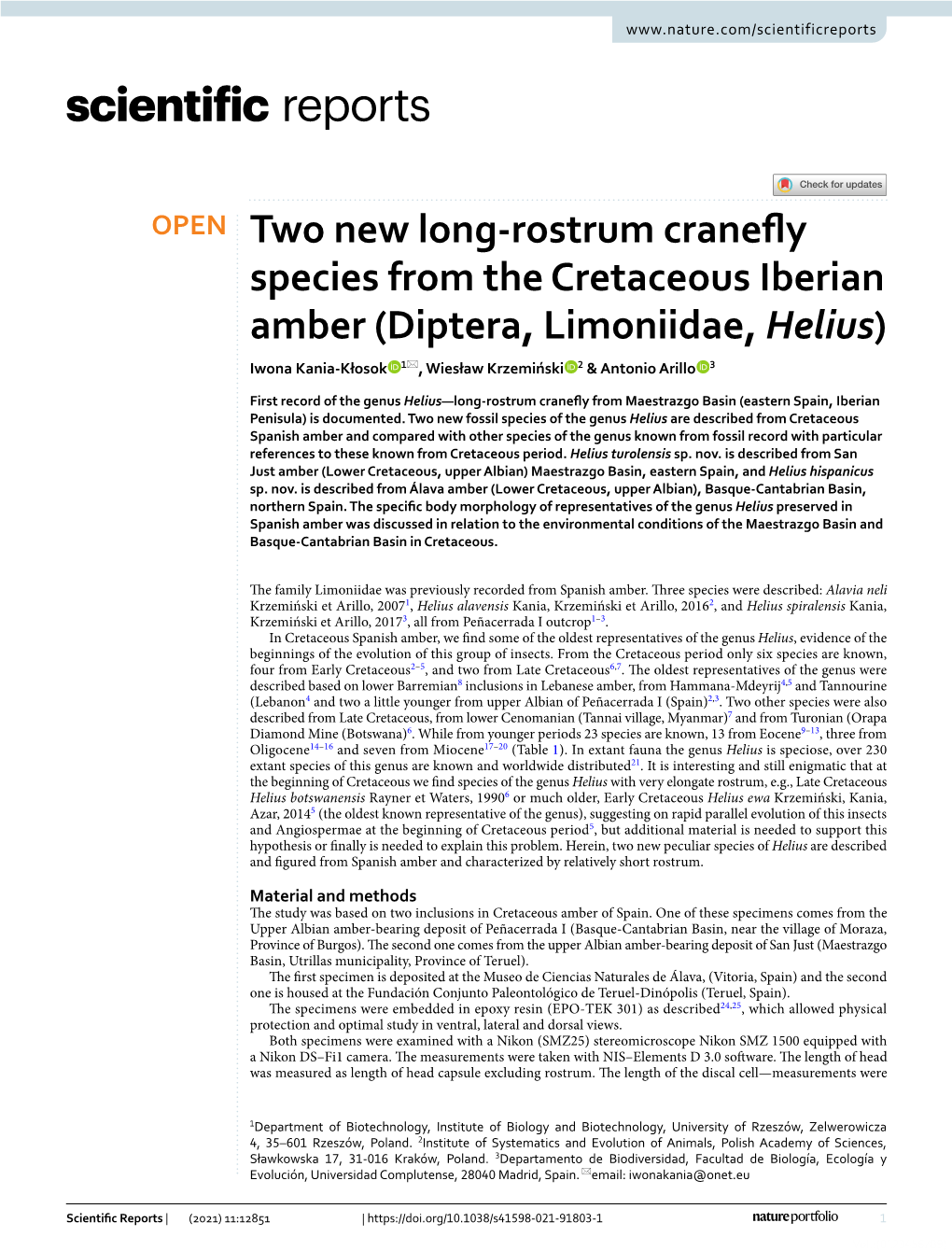 Two New Long-Rostrum Cranefly Species from the Cretaceous