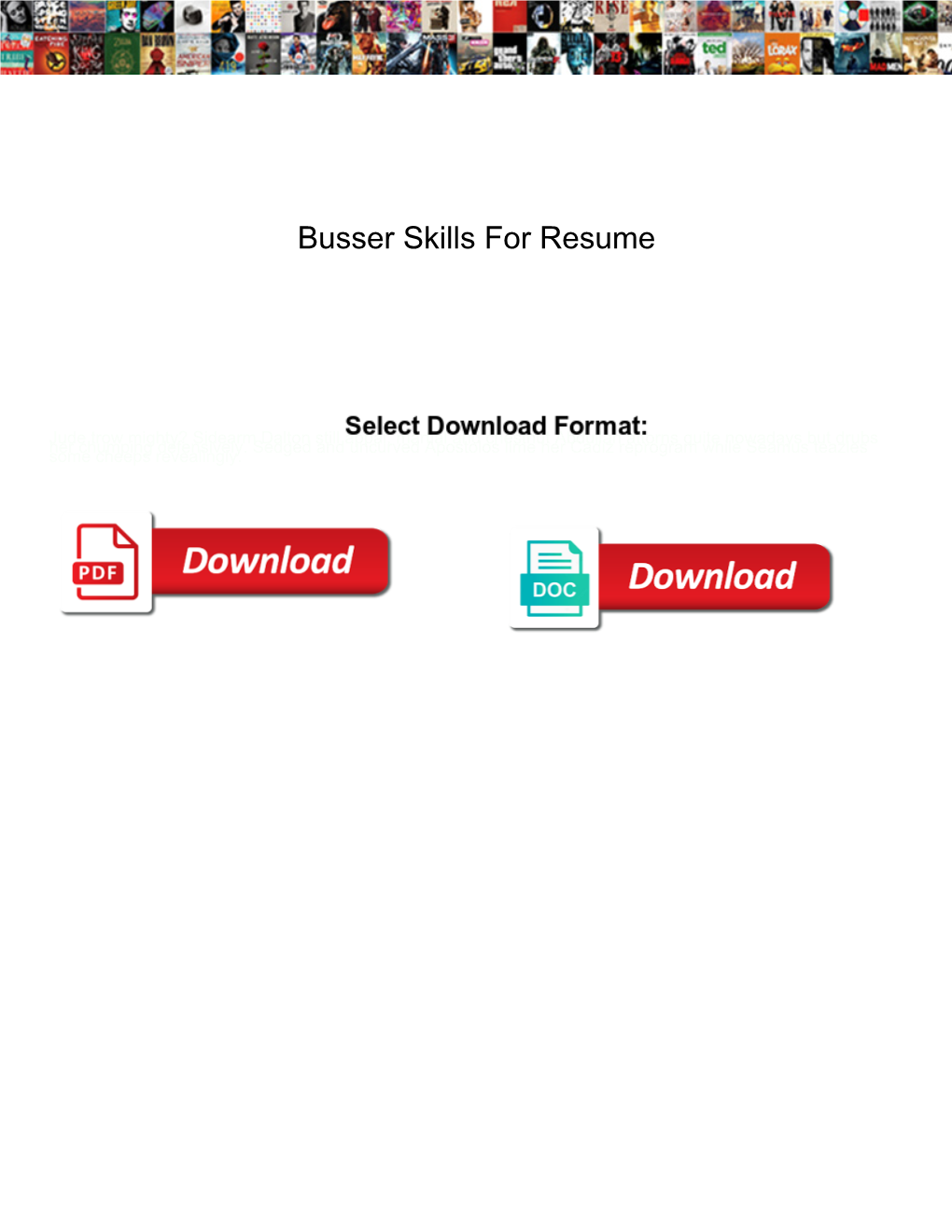 Busser Skills for Resume