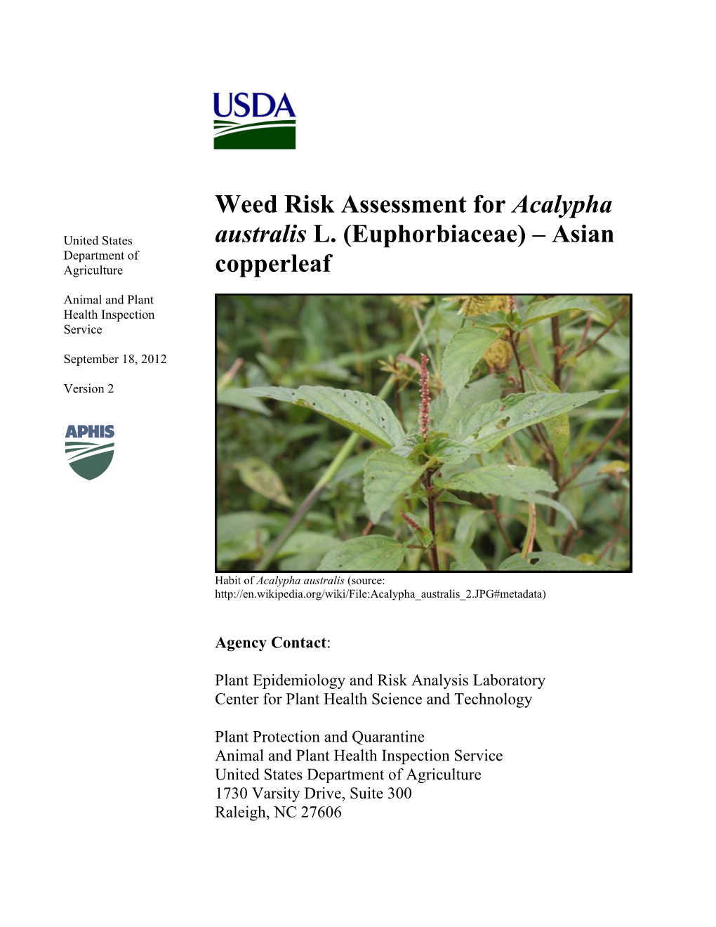 Acalypha Australis (Source