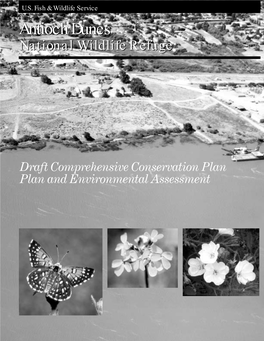 Antioch Dunes NWR Draft Comprehensive Conservation Plan