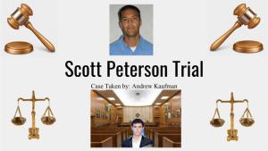 Andrew Kaufman Scott Peterson Trial