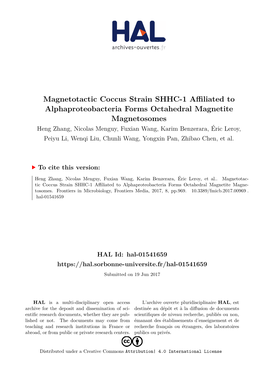 Magnetotactic Coccus Strain SHHC-1 Affiliated to Alphaproteobacteria