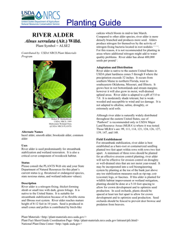 River Alder, Alnus Serrulata, Planting Guide