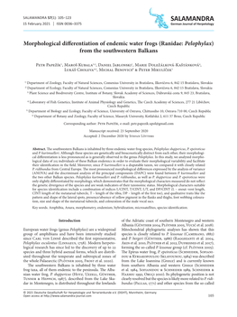 Morphological Differentiation of Endemic Water Frogs (Ranidae: Pelophylax) from the Southwestern Balkans