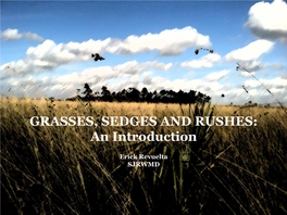 GRASSES, SEDGES and RUSHES: an Introduction