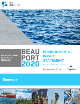 Summary of the Environmental Impact Statement