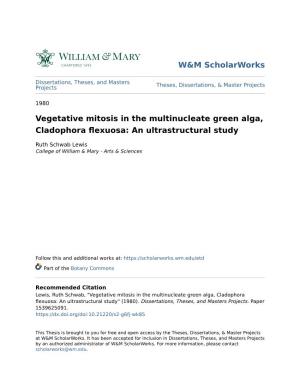 Vegetative Mitosis in the Multinucleate Green Alga, Cladophora Flexuosa: an Ultrastructural Study