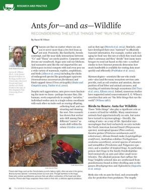 Ants For—And As—Wildlife Reconsidering the Little Things That “Run the World”