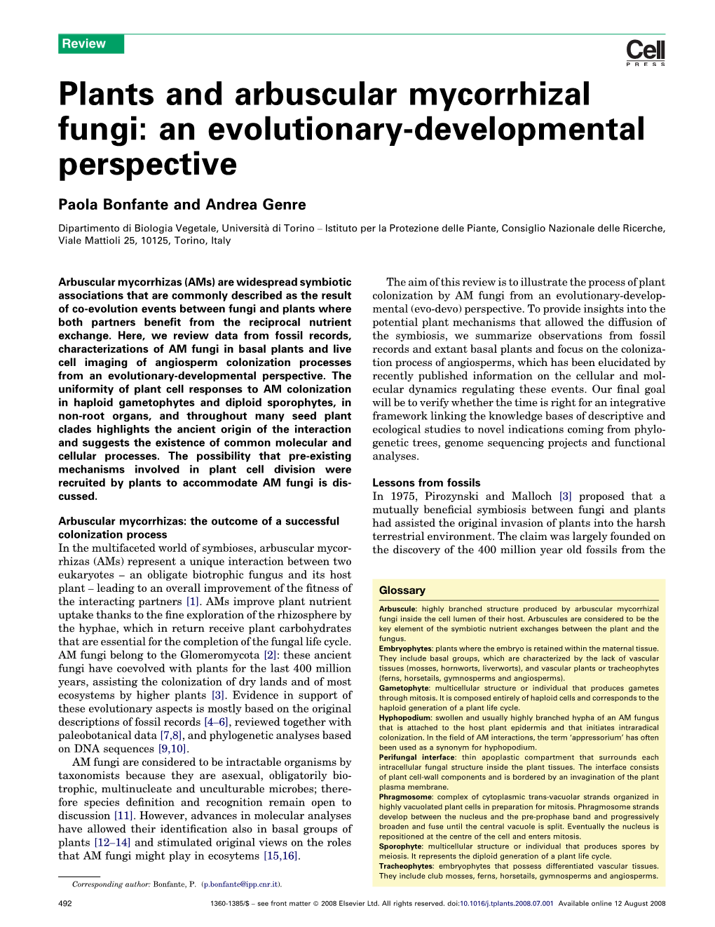 Plants and Arbuscular Mycorrhizal Fungi: an Evolutionary-Developmental Perspective