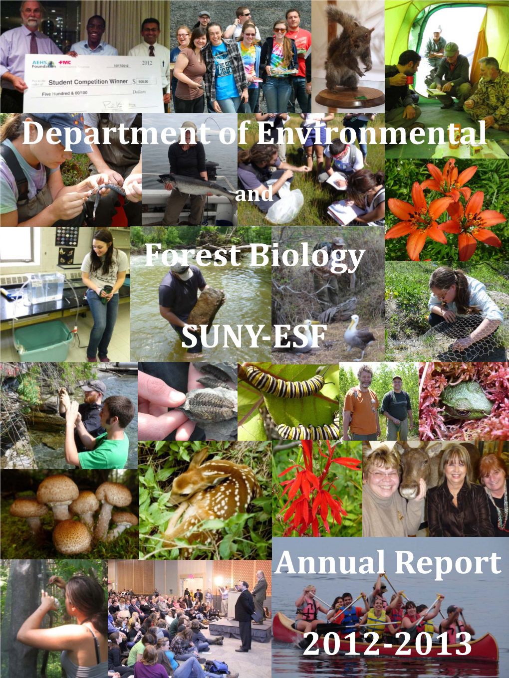 Department of Environmental and Forest Biology