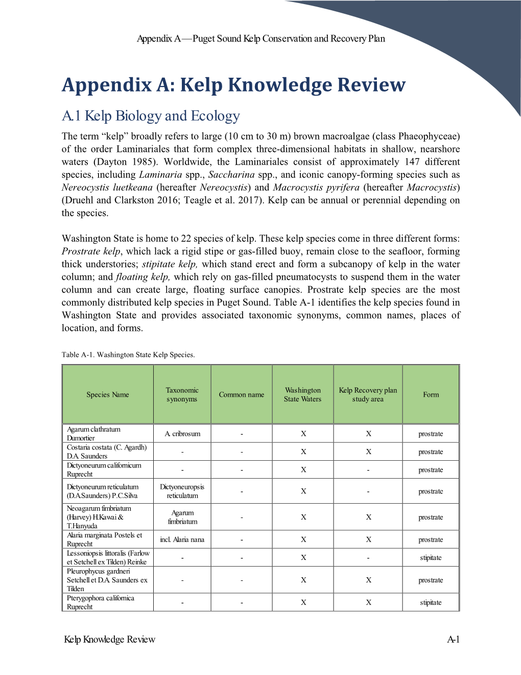 Appendix A: Kelp Knowledge Review