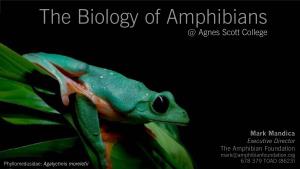 BOA1.2 Introduction of Amphibians.Key