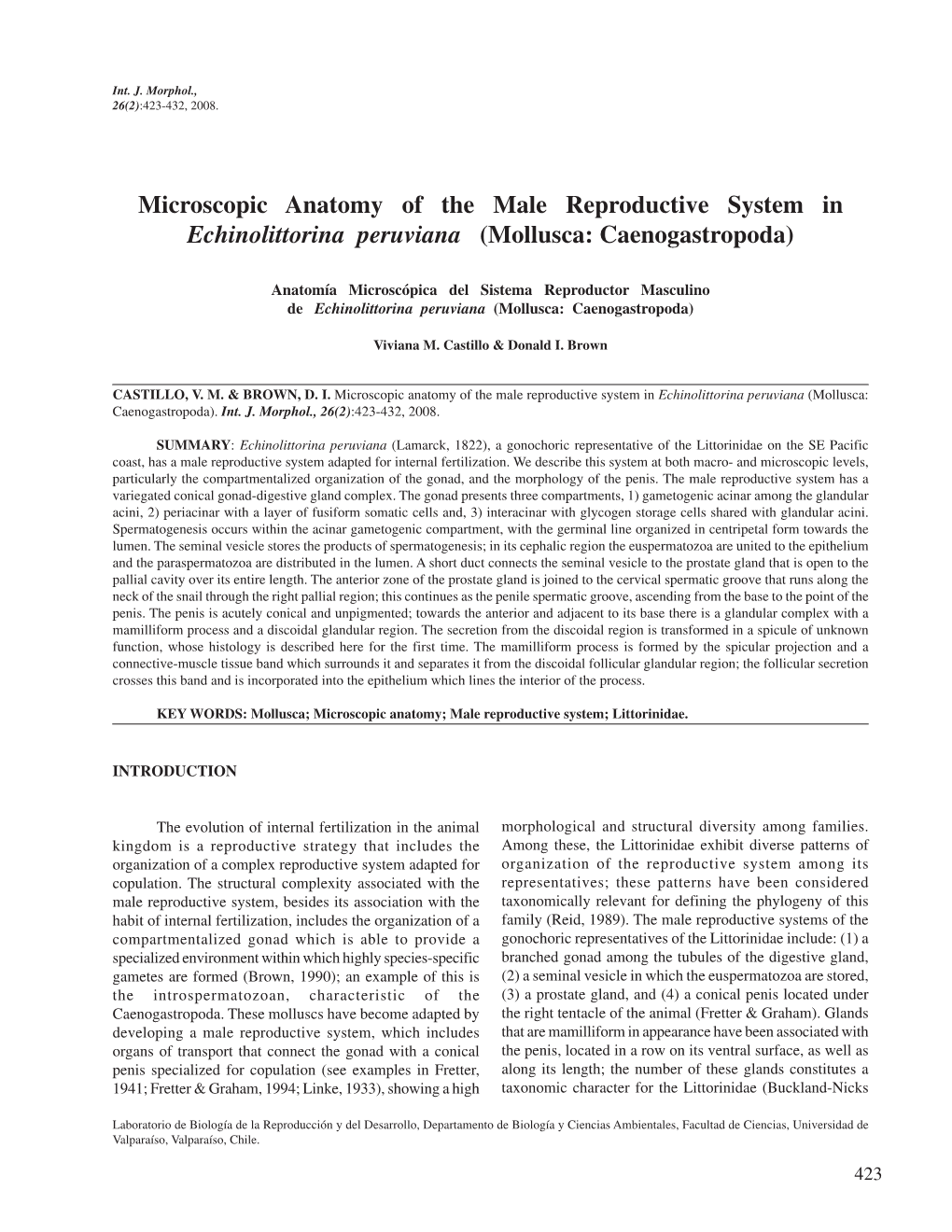 Microscopic Anatomy of the Male Reproductive System in Echinolittorina Peruviana (Mollusca: Caenogastropoda)