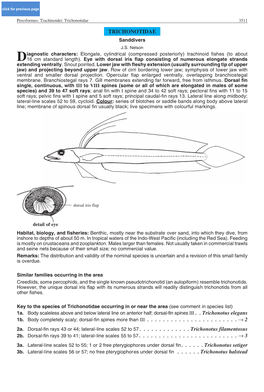 Trichonotidae 3511