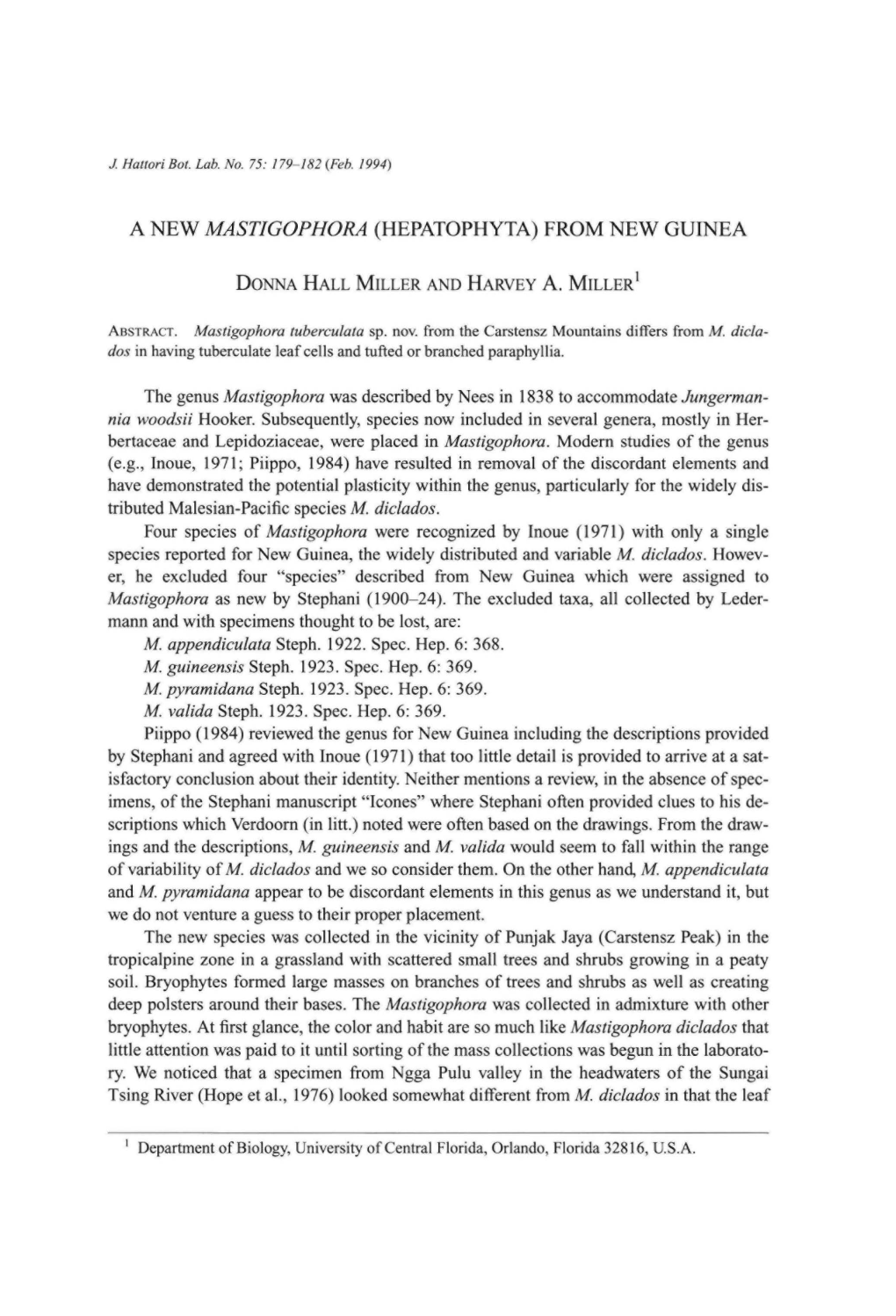 A New Mastigophora (Hepatophyta) from New Guinea