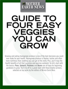Guide to Four Easy Veggies You Can Grow