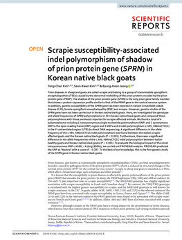 Scrapie Susceptibility-Associated Indel Polymorphism of Shadow of Prion