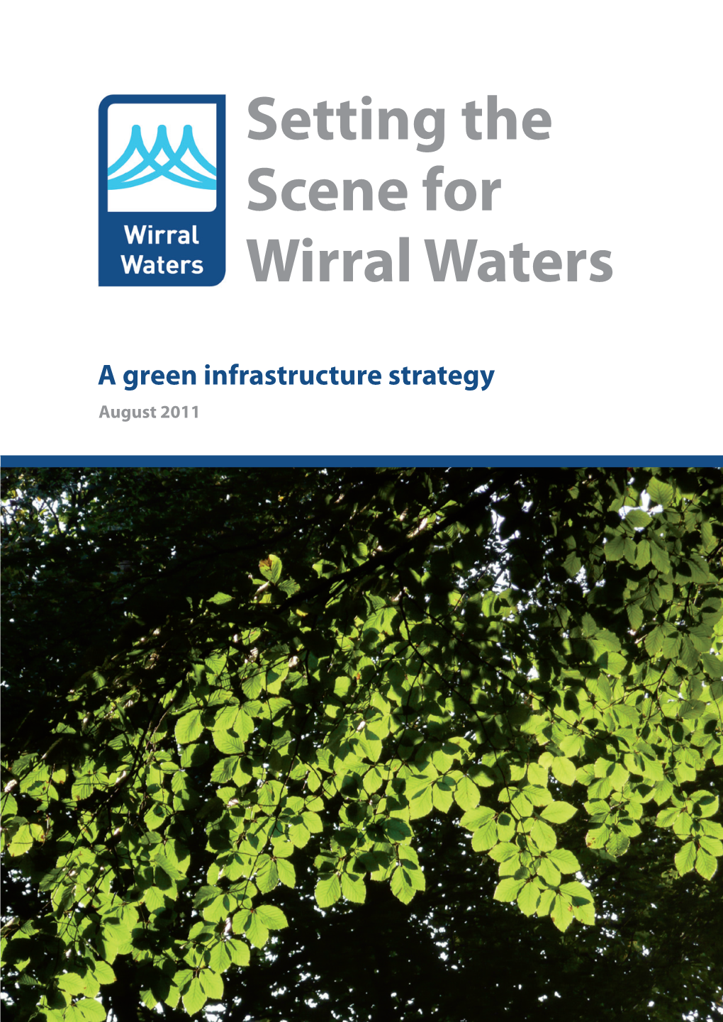 Setting the Scene for Wirral Waters