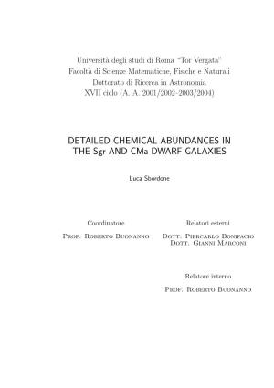 DETAILED CHEMICAL ABUNDANCES in the Sgr and Cma DWARF GALAXIES