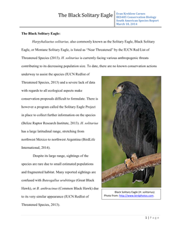 The Black Solitary Eagle BES485 Conservation Biology South American Species Report March 18, 2014