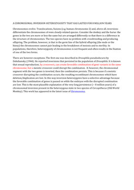 A Chromosomal Inversion Heterozygosity That Has Lasted for 8 Million Years