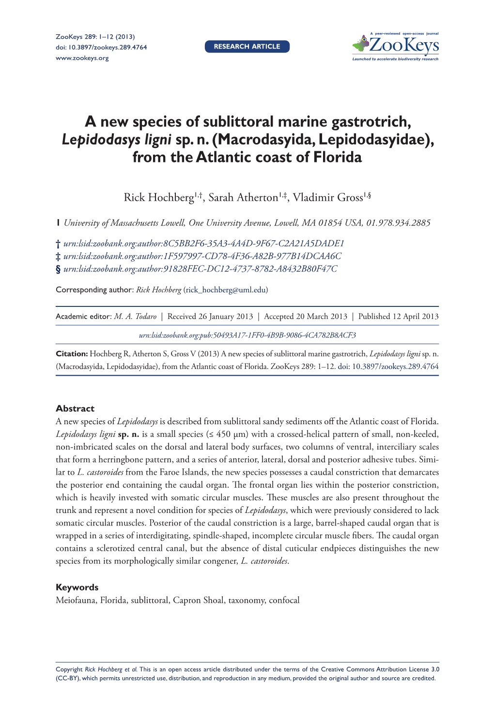 A New Species of Sublittoral Marine Gastrotrich, Lepidodasys Ligni Sp