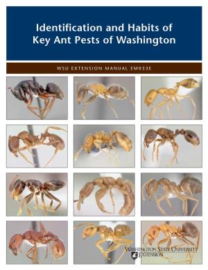 Identification and Habits of Key Ant Pests of Washington