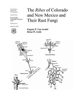 The Ribes of Colorado and New Mexico and Their Rust Fungi