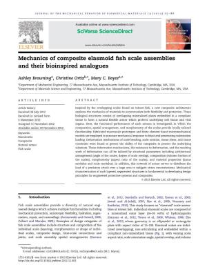 Mechanics of Composite Elasmoid Fish Scale Assemblies and Their