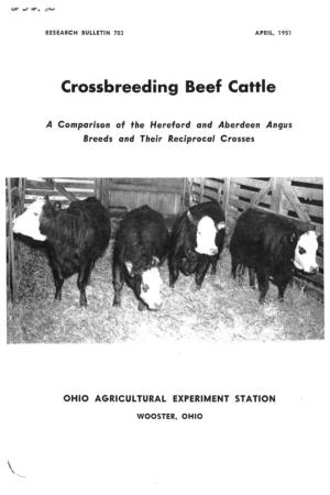 Crossbreeding Beef Cattle