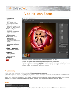 Aide Helicon Focus 6