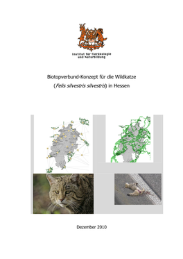 Biotopverbundkonzept Für Die Wildkatze in Hessen 2010