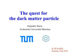 The Quest for the Dark Matter Particle