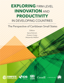 Exploring Firm-Level Innovation and Productivity in Developing Countries