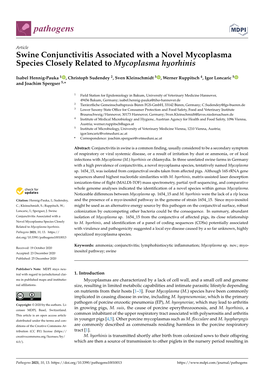 Swine Conjunctivitis Associated with a Novel Mycoplasma Species Closely Related to Mycoplasma Hyorhinis