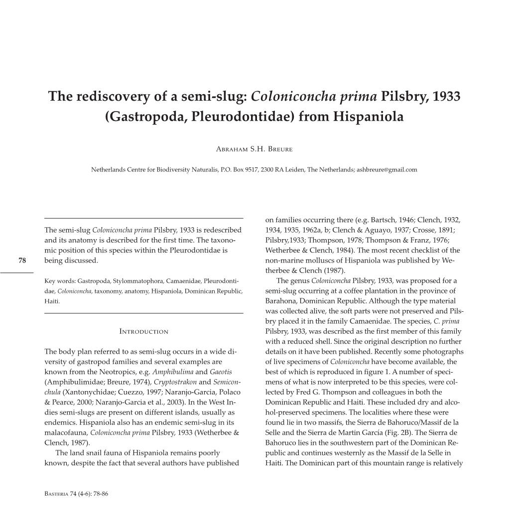 The Rediscovery of a Semi-Slug: Coloniconcha Prima Pilsbry, 1933 (Gastropoda , Pleurodontidae) from Hispaniola